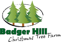 Badger Hill Christmas Trees