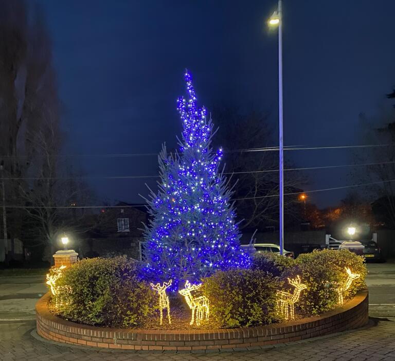 Badger Hill Christmas Tree in Welwyn Garden City